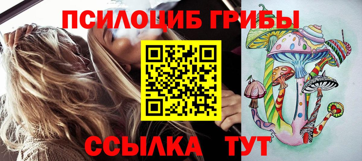 купить наркоту  Вход с VPN  Псилоцибиновые грибы мухоморы  Нефтекамск  Галлюциногенные грибы Psilocybine cubensis 