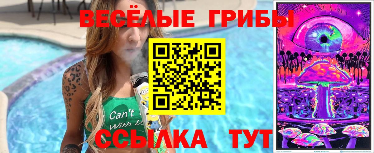 Псилоцибиновые грибы мицелий Нефтекамск